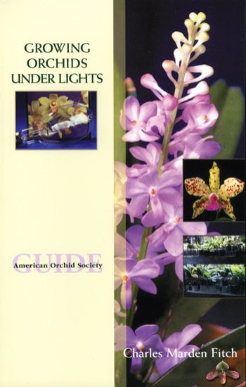 Picture of Growing Orchids Under Lights