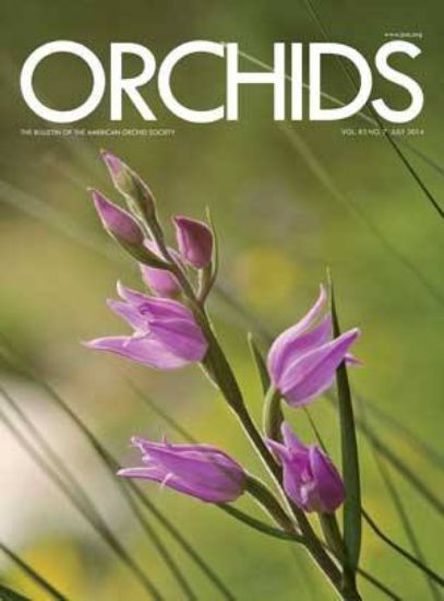 Picture of 2014/07 July ORCHIDS Magazine