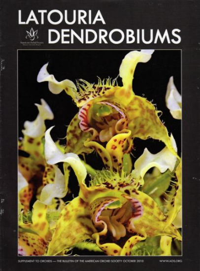 Picture of 2010/10 Latouria Dendrobiums