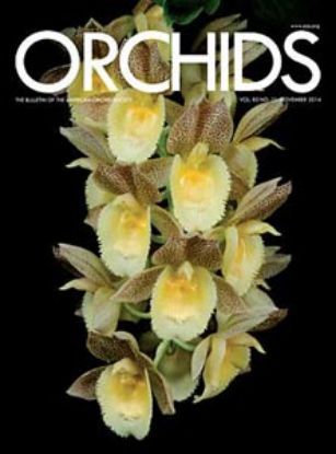 Picture of 2014/11 November ORCHIDS Magazine