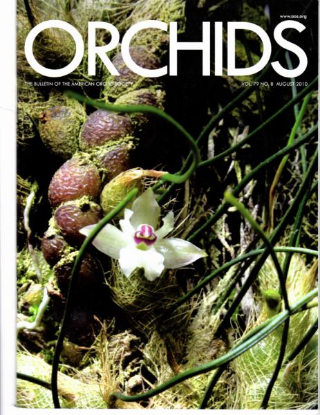 Picture of 2010/08 August ORCHIDS Magazine