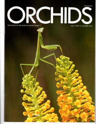Picture of 2010/10 October ORCHIDS Magazine
