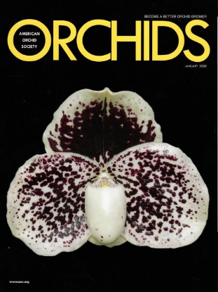 Picture of 2008/01 January ORCHIDS Magazine