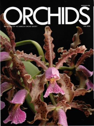 Picture of 2008/07 July ORCHIDS Magazine