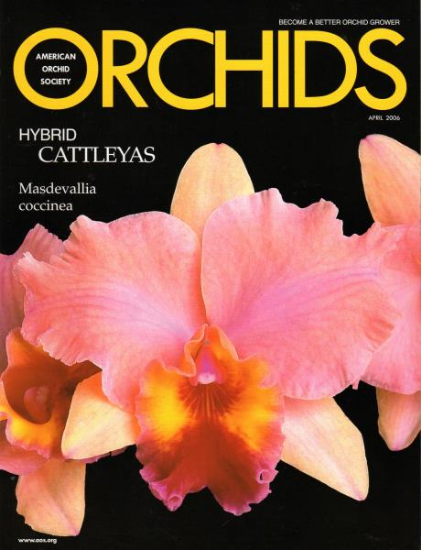 Picture of 2006/04 April ORCHIDS Magazine