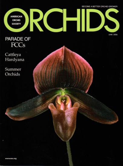 Picture of 2006/06 June ORCHIDS Magazine