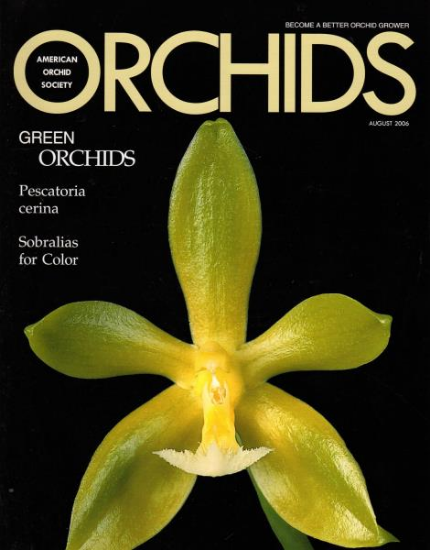 Picture of 2006/08 August ORCHIDS Magazine
