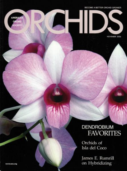 Picture of 2006/11 November ORCHIDS Magazine