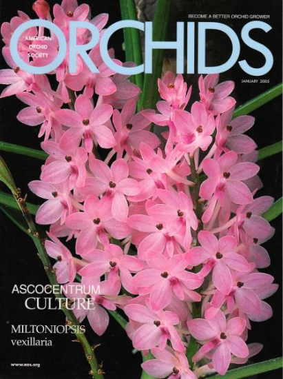 Picture of 2005/01 January ORCHIDS Magazine