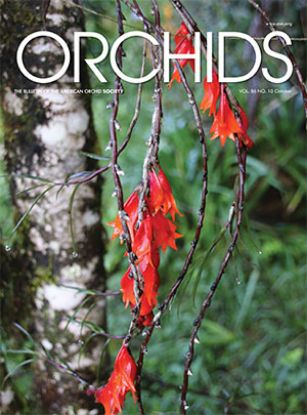 Picture of 2017/10 October ORCHIDS Magazine
