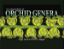 Picture of A Compendium of Orchid Genera - 50% SALE