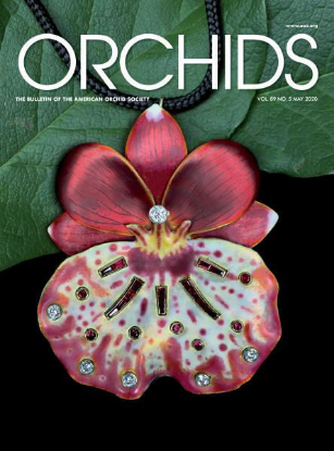 Picture of ORCHIDS Magazines for Chadwick - 10 CT