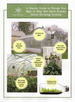 Picture of 2015/11 A Handy Guide to Things You May or May Not Have Known About Growing Orchids Supplement - copy