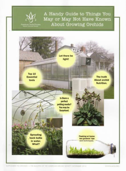 Picture of 2015/11 A Handy Guide to Things You May or May Not Have Known About Growing Orchids Supplement - copy