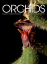 Picture of 2022/01 January ORCHIDS Magazine
