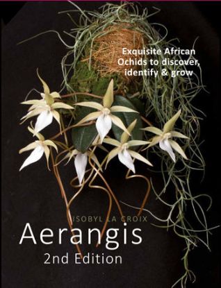 Picture of Aerangis Second Edition (U.S. Domestic Shipping)