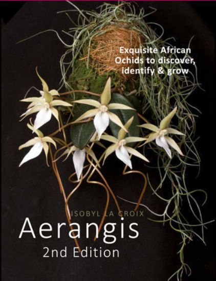 Picture of Aerangis Second Edition (Canada Shipping)