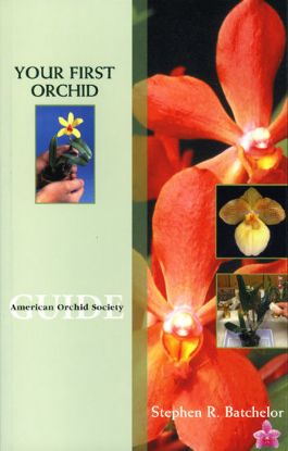 Picture of Your First Orchid -Case of 60 - 40% OFF