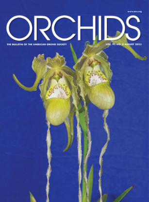 Picture of 2023/08 August ORCHIDS Magazine