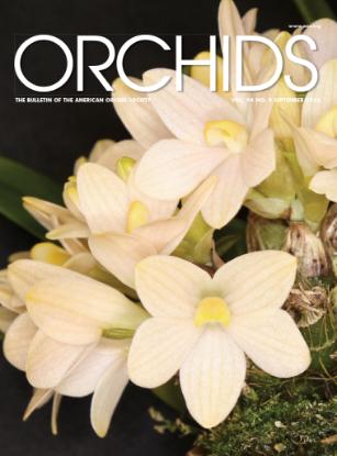 Show details for 2025/09 September ORCHIDS Magazine Picture of 2025/09 September ORCHIDS Magazine