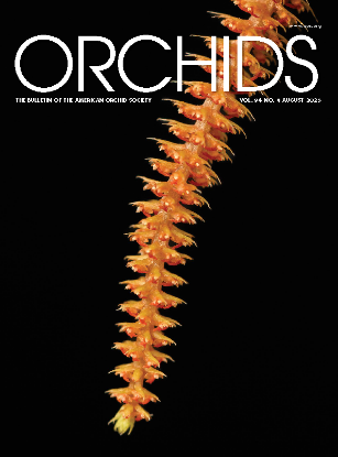 Show details for 2025/08 August ORCHIDS Magazine Picture of 2025/08 August ORCHIDS Magazine