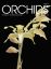 Picture of 2026/02 February ORCHIDS Magazine