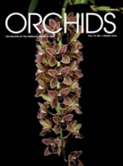 Picture of 2026/03 March ORCHIDS Magazine