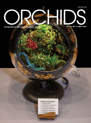 Picture of 2026/04 April ORCHIDS Magazine