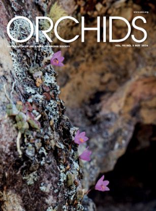 Picture of 2026/05 May ORCHIDS Magazine