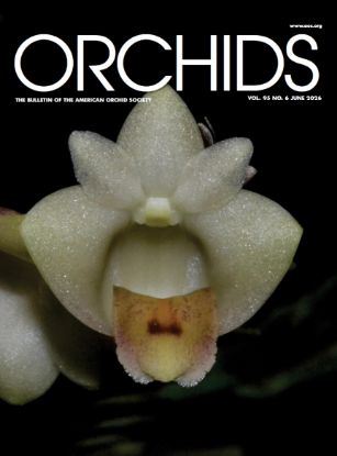 Picture of 2026/06 June ORCHIDS Magazine