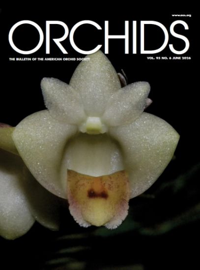 Picture of 2026/06 June ORCHIDS Magazine