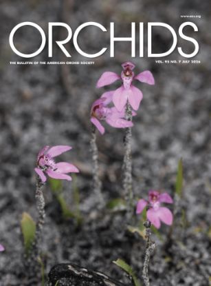 Picture of 2026/07 July ORCHIDS Magazine