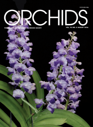 Picture of 2026/08 August ORCHIDS Magazine