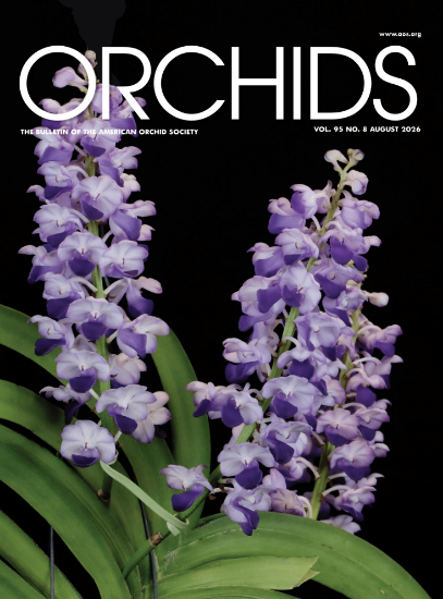Picture of 2026/08 August ORCHIDS Magazine