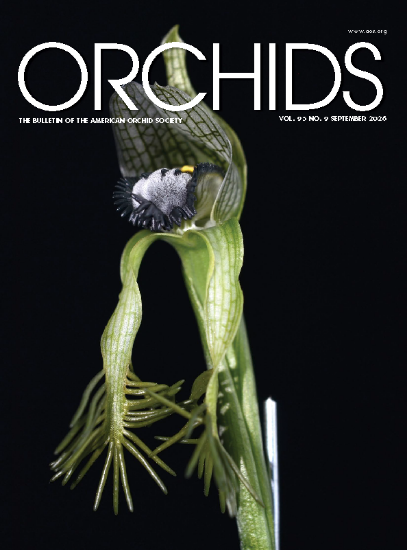 Picture of 2026/09 September ORCHIDS Magazine