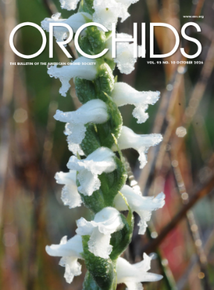 Picture of 2026/10 October ORCHIDS Magazine