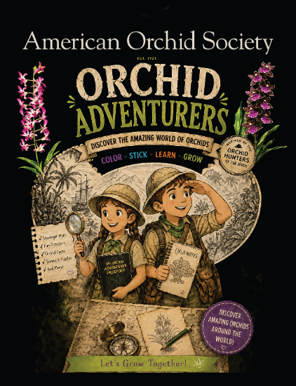 Picture of Orchid Adventurers Sticker Book